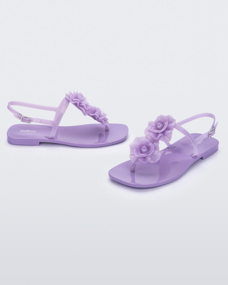 Purple Women's Melissa Harmonic Squared Garden Sandals | CVQF-01573 | USA