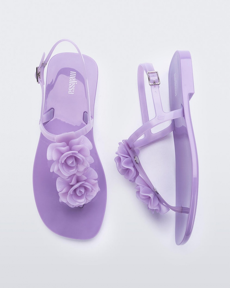 Purple Women's Melissa Harmonic Squared Garden Sandals | CVQF-01573 | USA